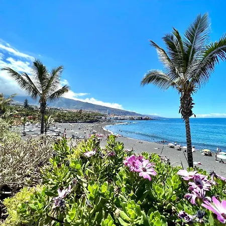 Modern Studio Cs With Wifi, Shared Pool, Puerto De La Cruz Puerto de la Cruz (Tenerife)